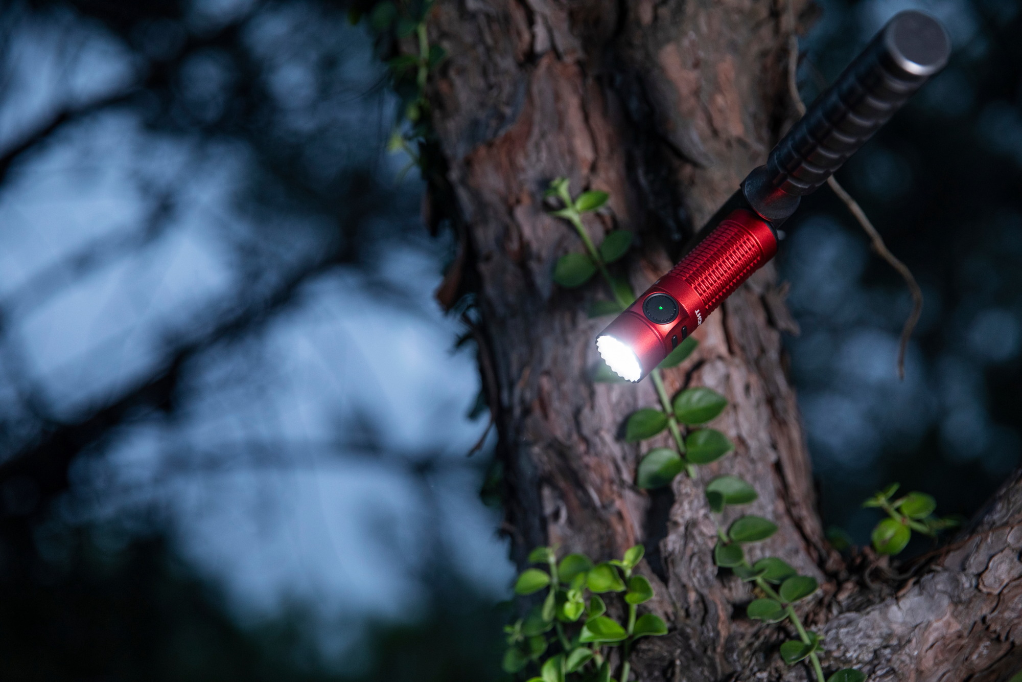 10 Stück UV-Schwarzlicht-Taschenlampen – Handheld, Für Urinflecken & Echtheitsprüfung | 395-400 Nm